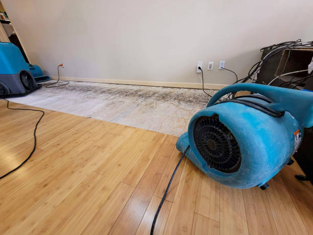 Professional Burst Pipe Water Damage technician working in Newport, AR